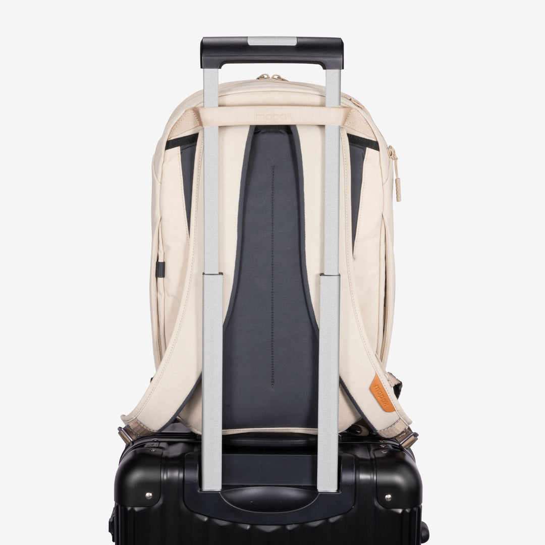 City Adventurer Backpack